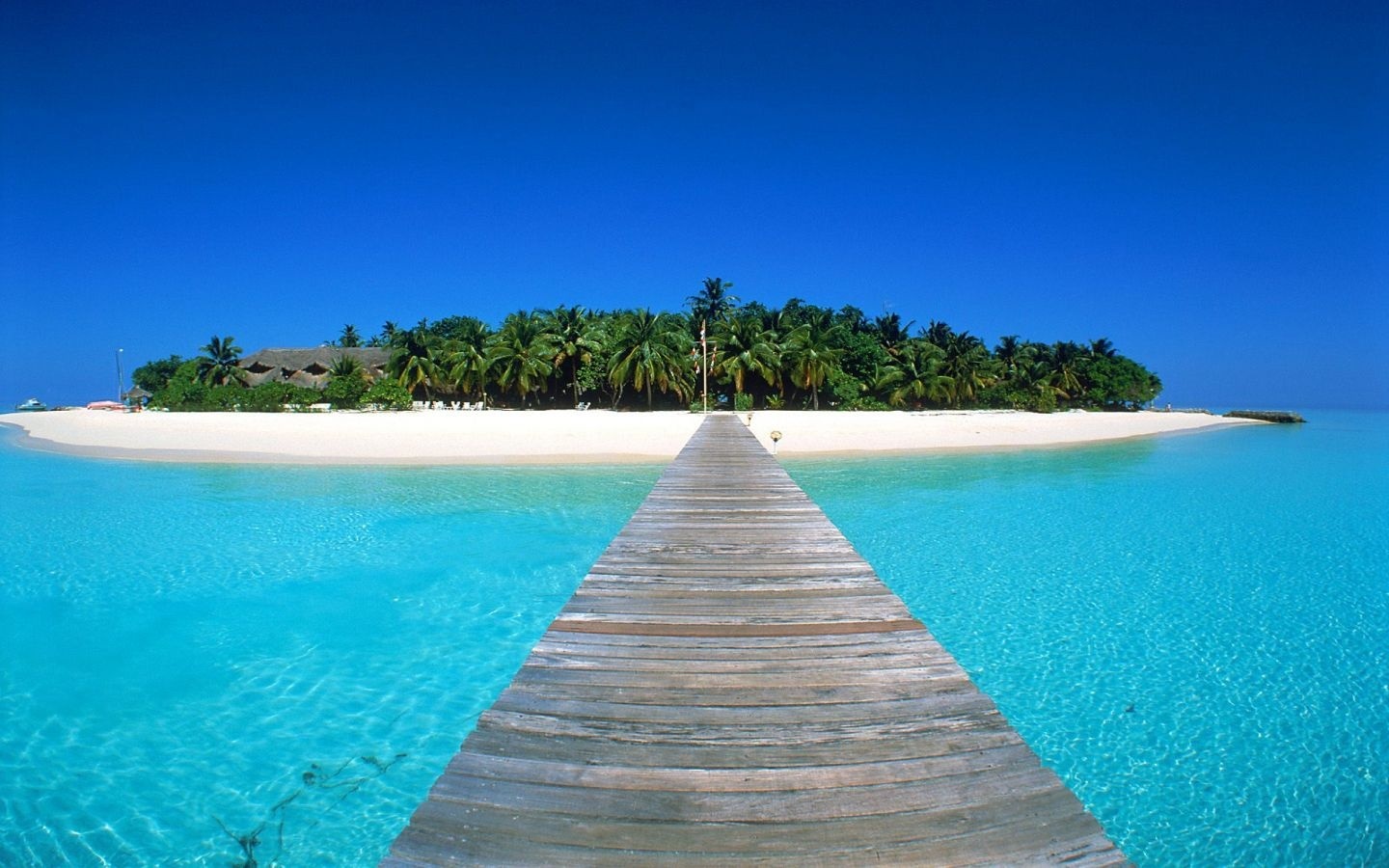 maldive1
