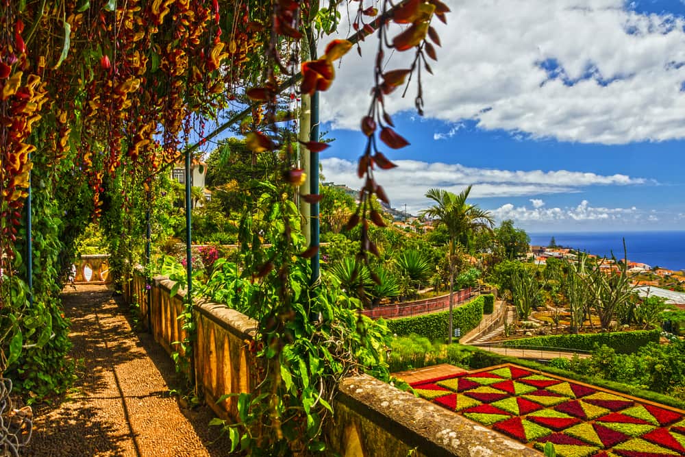 Madeira Tour