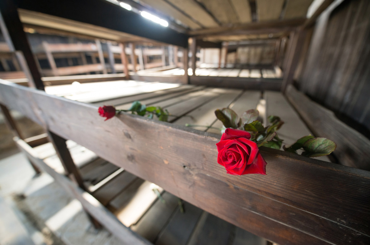 Campo di Concentramento di Auschwitz