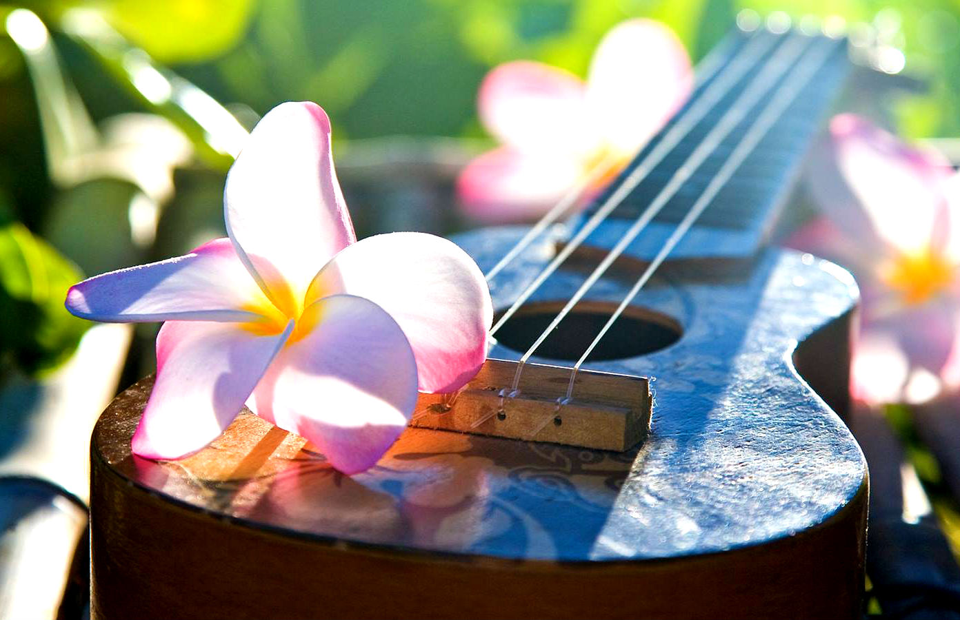 Il tipico strumento a corda hawaiiano: l'ukulele
