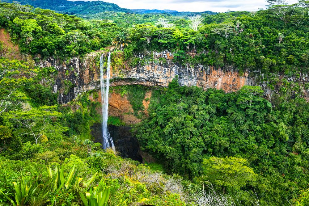 Trekking alle Cascate di Chamarel Trekking alle Cascate di Chamarel